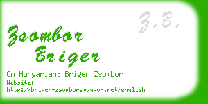 zsombor briger business card